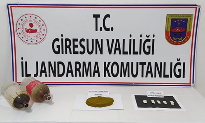 70 GRAM BONZAİ ELE GEÇİRİLDİ
