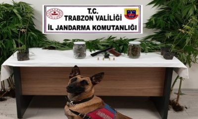 Trabzon’da Uyuşturucu Operasyonu Düzenlendi!