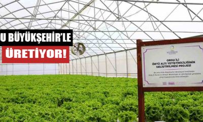 7 İlçede 40 Serada Üretim Gerçekleştirildi
