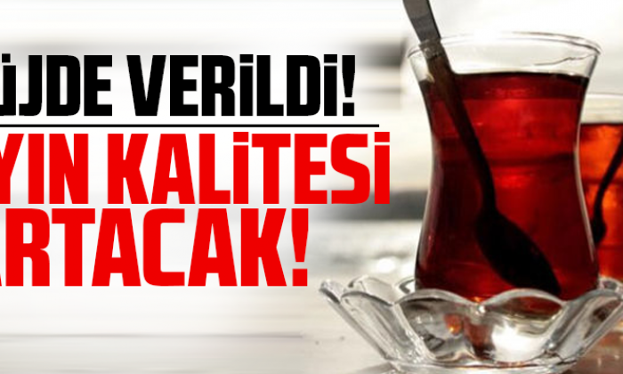 Çayın Kalitesi Artacak