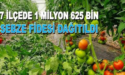 Büyükşehir Ordu Üretiyor
