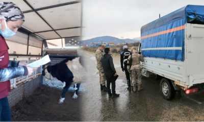 Hayvan Hareketlerine Yönelik 252 Adet Yol Denetimi