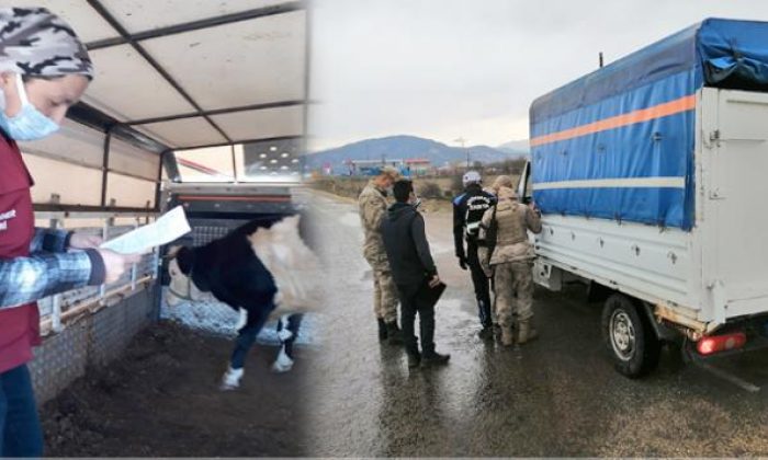 Hayvan Hareketlerine Yönelik 252 Adet Yol Denetimi