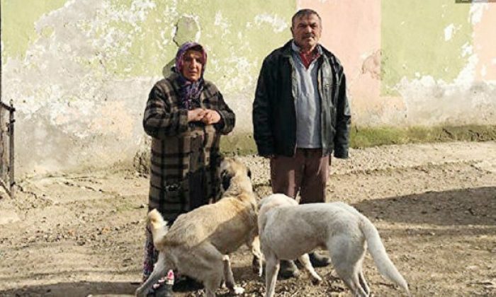 “Jardarma Aç Kapıyı” Dediler Evi Soydular