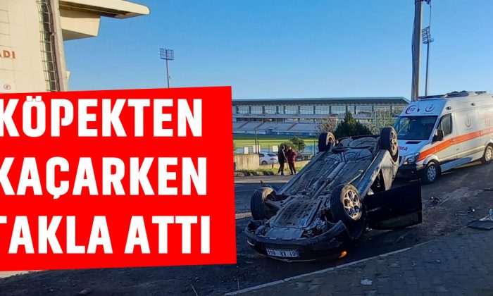 Köpekten Kaçarken Takla Attı