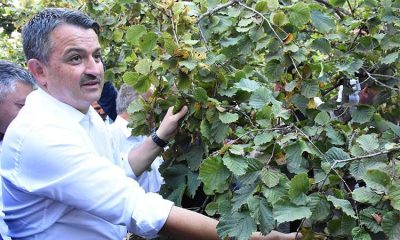 Seneye Fiyatımız Daha İyi Olur