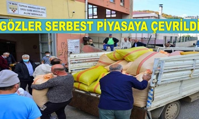 TMO Fındık Alımına Son Verdi