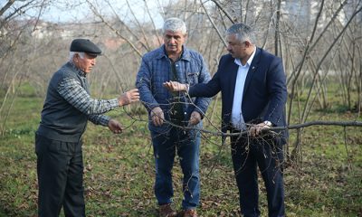 VERİM KAYBI YAŞANMAMASI İÇİN KAR YAĞIŞI BEKLİYOR